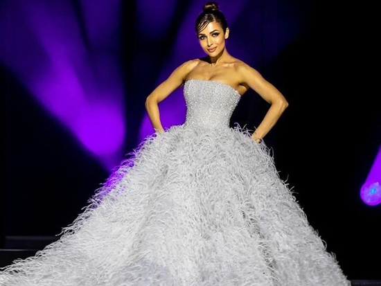 Dazzling Poses Of Malaika Arora Like A Princess